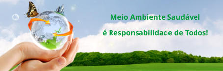 Meio Ambiente Saudvel  Responsabilidade de Todos!